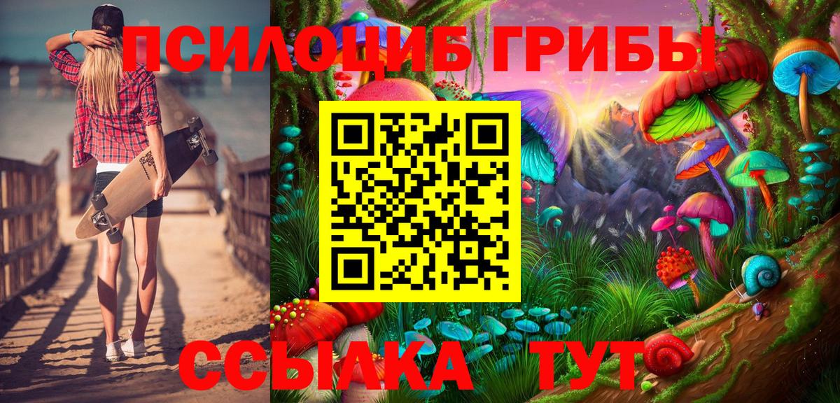 Псилоцибиновые грибы MAGIC MUSHROOMS  Вход с VPN  Новочебоксарск 
