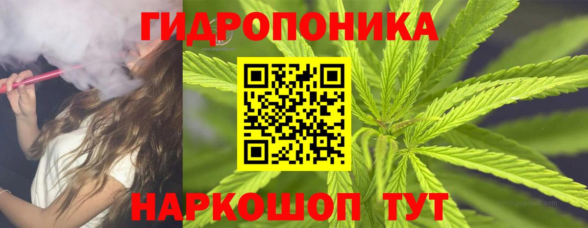 Каннабис сатива Новочебоксарск